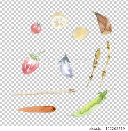 vegetable set 122202219