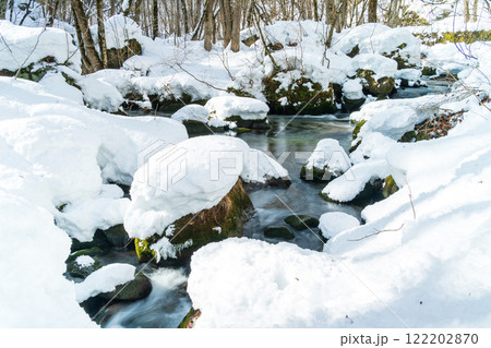 「青森県」雪の積もった奥入瀬渓流 冬の自然美 「青森県」雪の積もった奥入瀬渓流 冬の自然美 122202870