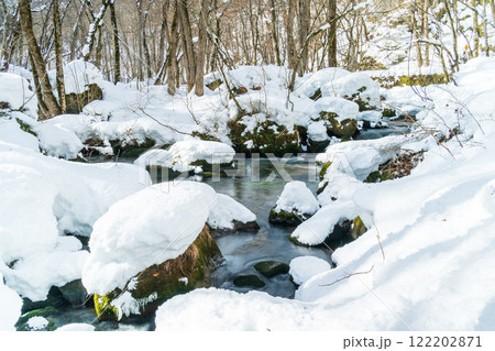 「青森県」雪の積もった奥入瀬渓流　冬の自然美 122202871