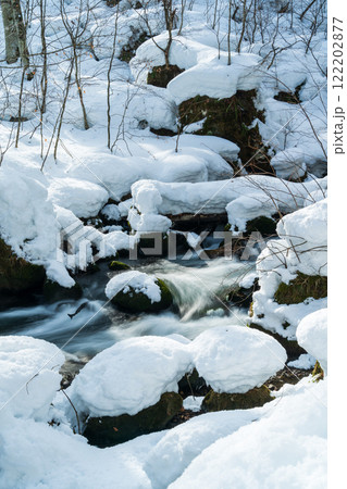 「青森県」雪の積もった奥入瀬渓流 冬の自然美 「青森県」雪の積もった奥入瀬渓流 冬の自然美 122202877