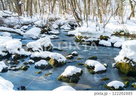「青森県」雪の積もった奥入瀬渓流 冬の自然美 「青森県」雪の積もった奥入瀬渓流 冬の自然美 122202885
