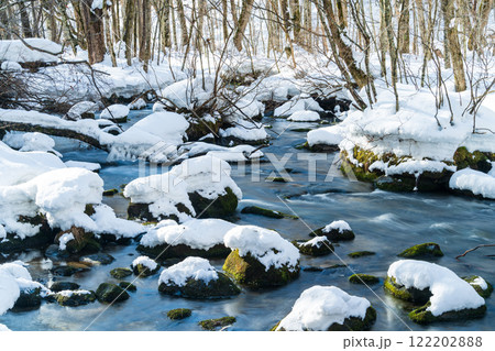 「青森県」雪の積もった奥入瀬渓流　冬の自然美 122202888