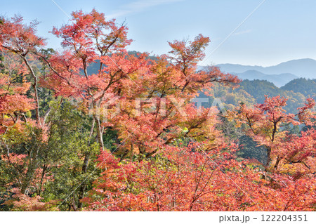 鞍馬寺の紅葉 122204351