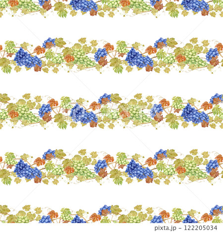 Seamless background with grapevine. Watercolor blue and green autumn grape berries and leaves. Illustrations for wine label design, grape juice, restaurant menu and for grape festival decoration. Seamless background with grapevine. Watercolor blue and green autumn grape berries and leaves. Illustrations for wine label design, grape juice, restaurant menu and for grape festival decoration. 122205034