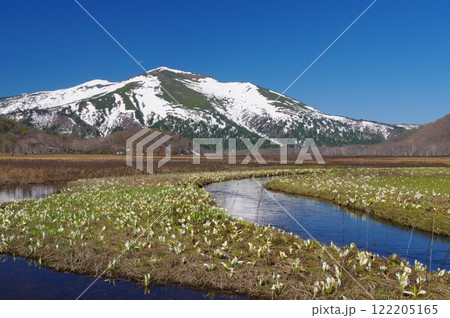 水芭蕉咲く尾瀬ヶ原と残雪の景鶴山 122205165