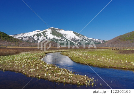 水芭蕉咲く尾瀬ヶ原と残雪の景鶴山 水芭蕉咲く尾瀬ヶ原と残雪の景鶴山 122205166