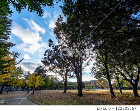 秋晴れのすがすがしい公園の景色 秋晴れのすがすがしい公園の景色 122205567