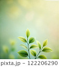 柔らかな光に包まれた若葉- ナチュラルで癒しのデザイン 122206290