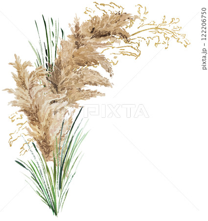 Frame with watercolor beige, green and golden pampas grass, Boho Wedding isolated illustration 122206750