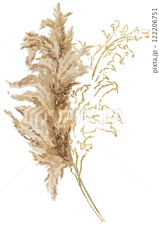 Watercolor and golden dried pampas grass, biege tropical wedding element, summer Bohemian illustration 122206751