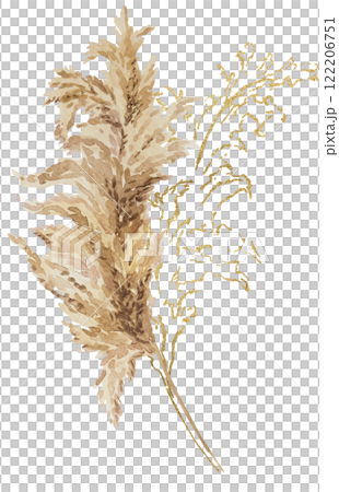 Watercolor and golden dried pampas grass, biege tropical wedding element, summer Bohemian illustration Watercolor and golden dried pampas grass, biege tropical wedding element, summer Bohemian illustration 122206751