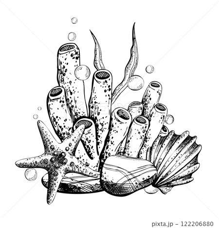 Seashell, starfish, sea sponge, algae, pebbles and bubbles. Hand drawn graphic illustration in black and white color line art. Sublimation arrangement on marine theme 122206880