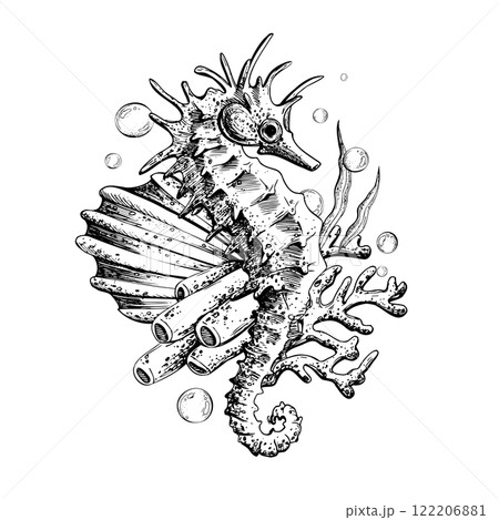 Seahorse, coral, sea sponge, algae and bubbles. Hand drawn graphic illustration in black and white color line art. Sublimation arrangement on marine theme Seahorse, coral, sea sponge, algae and bubbles. Hand drawn graphic illustration in black and white color line art. Sublimation arrangement on marine theme 122206881