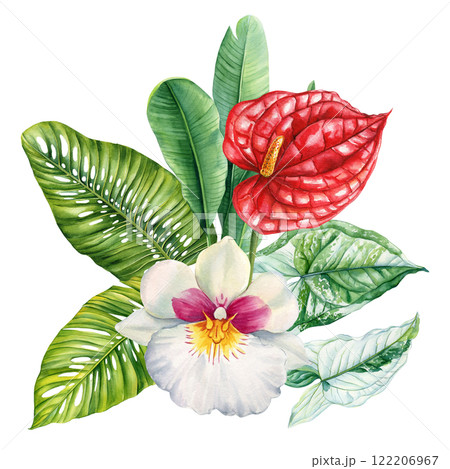 Paradise Tropical orchid, anthurium flowers painted watercolor, exotic jungle bouquet for nature-inspired jungle designs Paradise Tropical orchid, anthurium flowers painted watercolor, exotic jungle bouquet for nature-inspired jungle designs 122206967