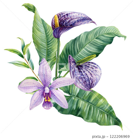 Paradise flower and palm leaves, eucalyptus. Tropical summer flowers painted watercolor, isolated exotic jungle bouquet. Paradise flower and palm leaves, eucalyptus. Tropical summer flowers painted watercolor, isolated exotic jungle bouquet. 122206969