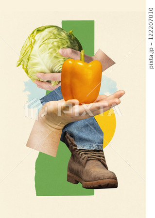 Conceptual collage. Hand holding cabbage and yellow pepper, paired with gardening boots and green geometric shapes 122207010