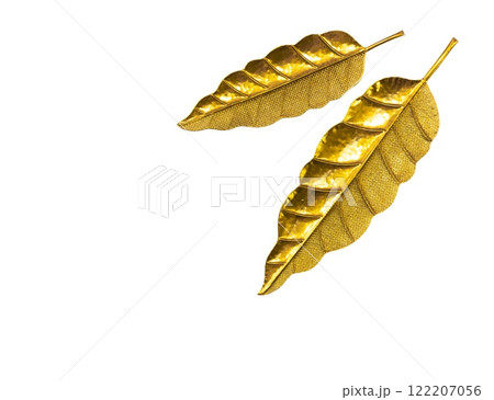 Modern wall decoration made of gold metal in the shape of tropical leaves. Decoration isolated on transparent or white background 122207056