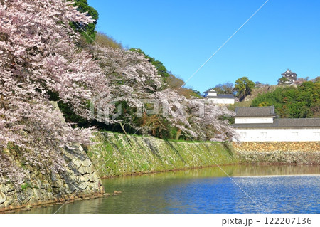 【滋賀県】桜が満開の彦根城天守閣と中堀 【滋賀県】桜が満開の彦根城天守閣と中堀 122207136