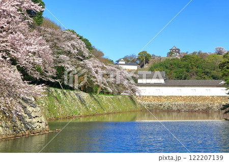 【滋賀県】桜が満開の彦根城天守閣と中堀 122207139