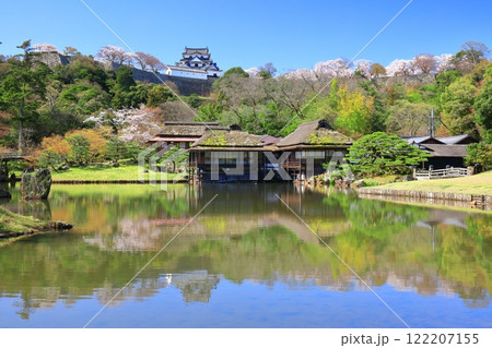 【滋賀県】桜が満開の彦根城天守閣と玄宮園 122207155