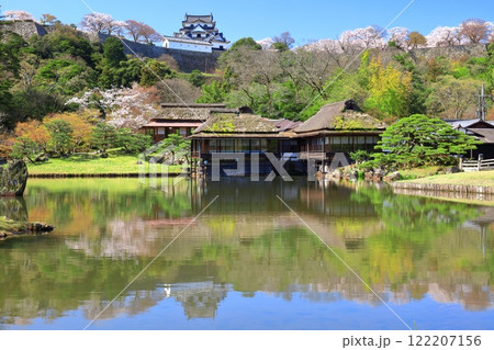 【滋賀県】桜が満開の彦根城天守閣と玄宮園 122207156