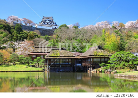 【滋賀県】桜が満開の彦根城天守閣と玄宮園 122207160