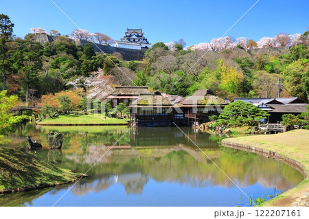 【滋賀県】桜が満開の彦根城天守閣と玄宮園 【滋賀県】桜が満開の彦根城天守閣と玄宮園 122207161