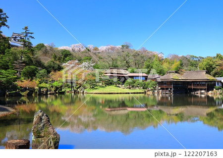 【滋賀県】桜が満開の彦根城天守閣と玄宮園 【滋賀県】桜が満開の彦根城天守閣と玄宮園 122207163