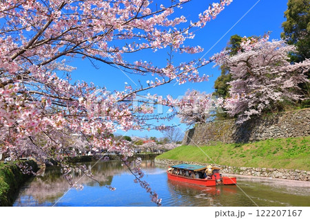 【滋賀県】快晴の彦根城内堀の屋形船と満開の桜 【滋賀県】快晴の彦根城内堀の屋形船と満開の桜 122207167