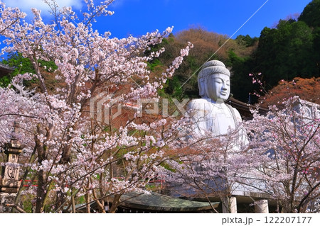 【奈良県】桜が満開の壺阪寺(桜大仏) 【奈良県】桜が満開の壺阪寺(桜大仏) 122207177