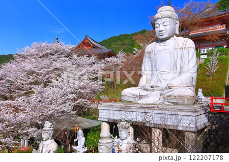 【奈良県】桜が満開の壺阪寺(桜大仏) 【奈良県】桜が満開の壺阪寺(桜大仏) 122207178