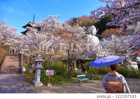 【奈良県】桜が満開の壺阪寺（桜大仏） 122207183