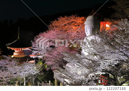 【奈良県】桜が満開の壺阪寺の夜景(桜大仏) 【奈良県】桜が満開の壺阪寺の夜景(桜大仏) 122207188