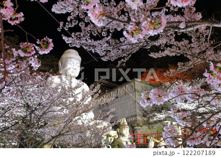 【奈良県】桜が満開の壺阪寺の夜景（桜大仏） 122207189