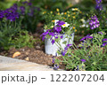 春の花壇に咲く紫色のパンジーの花 122207204