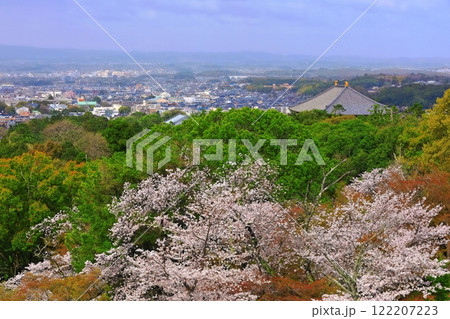 【奈良県】若草山から見た満開の桜と東大寺 122207223