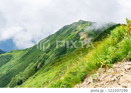 弓折岳の弓折中段から弓折乗越への登山道 北アルプス双六岳三俣蓮華岳登山 弓折岳の弓折中段から弓折乗越への登山道 北アルプス双六岳三俣蓮華岳登山 122207290