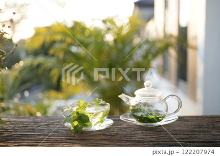 Persicaria odorata Vietnamese coriander tea in a glass pot and cup Persicaria odorata Vietnamese coriander tea in a glass pot and cup 122207974