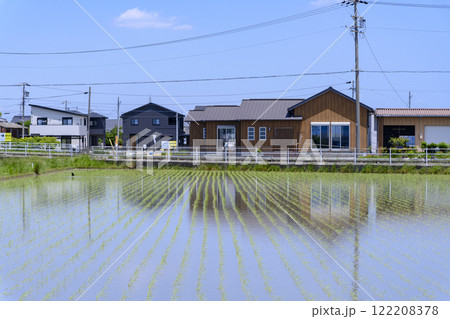愛知県西尾市の植え付け直後の田園風景 愛知県西尾市の植え付け直後の田園風景 122208378