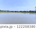 愛知県西尾市の植え付け直後の田園風景 122208380