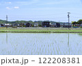 愛知県西尾市の植え付け直後の田園風景 122208381