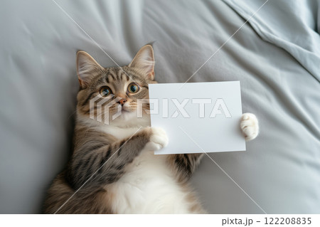 Cute cat with blank sheet of paper on bed 122208835