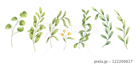 Watercolor meadow herbs, yellow flower, green branch clipart illustration isolated background. Spring plant with green leaves set. Floral elements for bouquet design, botanical book, package decor 122209817