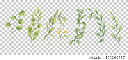Watercolor meadow herbs, yellow flower, green branch clipart illustration isolated background. Spring plant with green leaves set. Floral elements for bouquet design, botanical book, package decor 122209817
