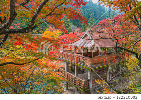 豊田市の大井平公園の紅葉に囲まれた井の淵展望台の風景(愛知県) 豊田市の大井平公園の紅葉に囲まれた井の淵展望台の風景(愛知県) 122210002