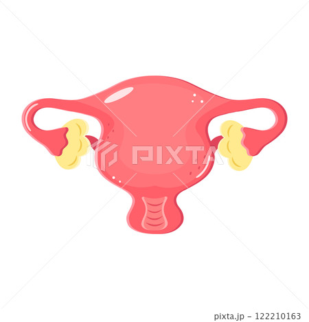 Illustration of a Uterus with ovaries in cartoon style on white background 122210163