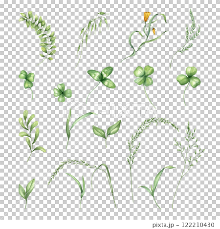 Field green herbs, flowers, clover leaves, blades of grass watercolor illustration clip art. Hand drawn leaf plant set. Floral elements for greeting card, St. Patrick day holiday, wedding invitation Field green herbs, flowers, clover leaves, blades of grass watercolor illustration clip art. Hand drawn leaf plant set. Floral elements for greeting card, St. Patrick day holiday, wedding invitation 122210430
