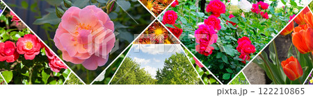 Colorful collage of flowers and garden. Collage. Colorful collage of flowers and garden. Collage. 122210865