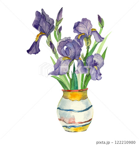 Purple irises in a ceramic vase hand painted with watercolor and isolated on a white background. Watercolor illustration. Suitable for poster, postcards, invitations, for printing. Purple irises in a ceramic vase hand painted with watercolor and isolated on a white background. Watercolor illustration. Suitable for poster, postcards, invitations, for printing. 122210980