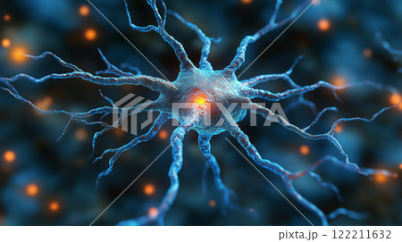 Aesthetics of neural connections and patterns. 122211632